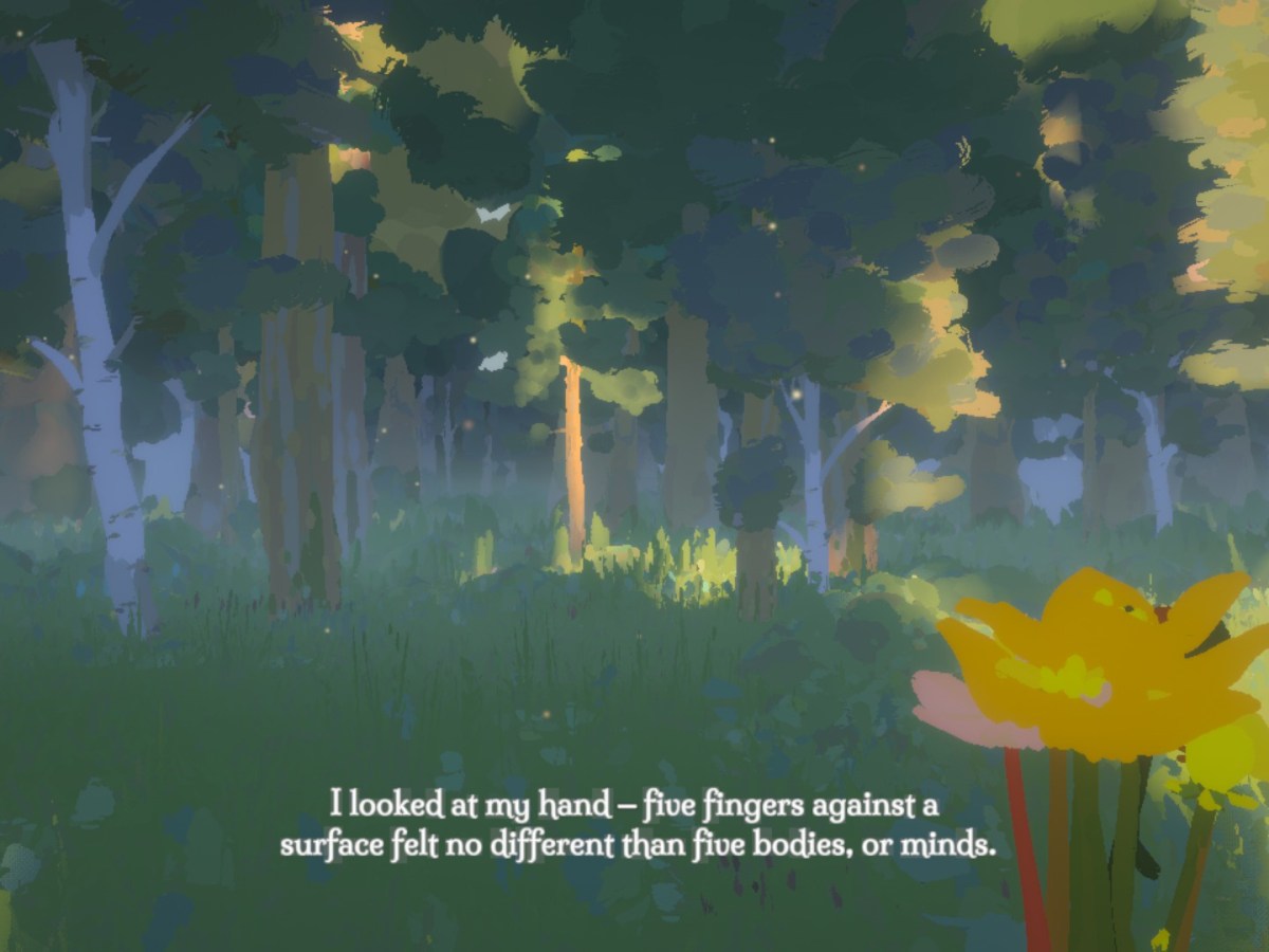 Sunlight: On Connection